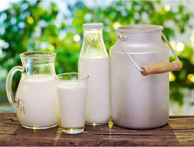 乳制品中的致病菌有哪些？如何解決致病菌超標？(圖3)